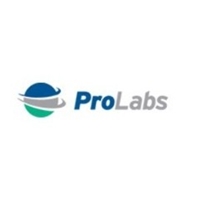 Pro Labs