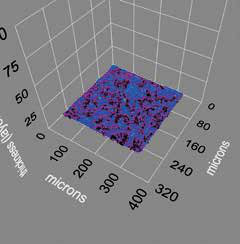 布鲁斯特角度显微镜 Nanofim-ep4-bam图18