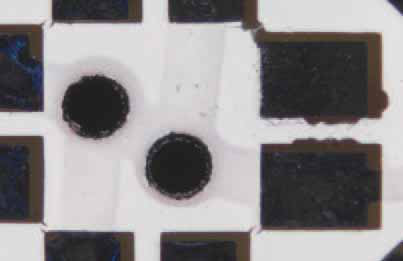 发现系列V8体视显微镜图10