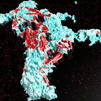 用于扫描探针显微镜的MountainsSPIP图像分析软件图3