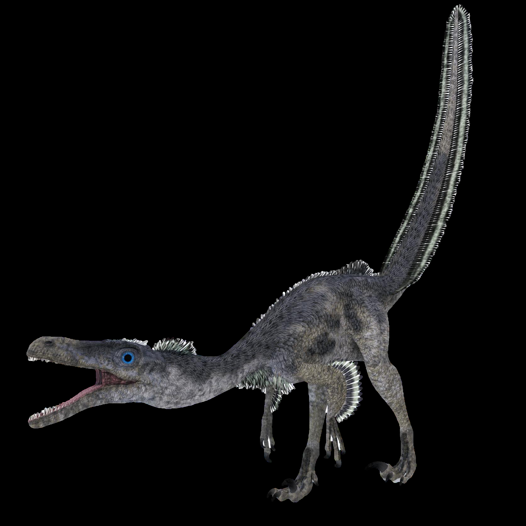 Velociraptor EVO基于FPGA的高速摄像机图5