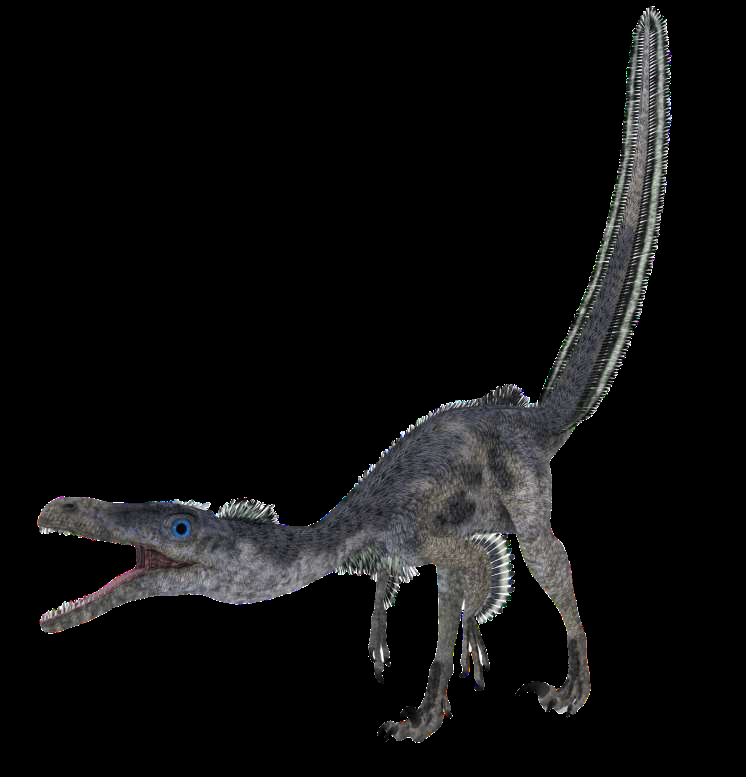 Velociraptor HS基于FPGA的高速摄像机图4