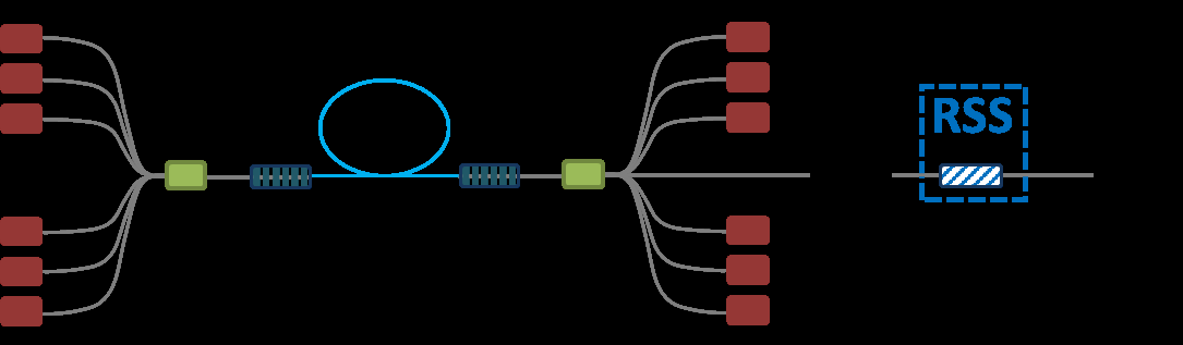 RSS Raman Scattering Suppressor图1