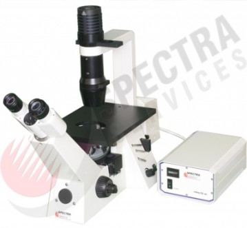 AxioVert40CFL倒置相位和荧光显微镜 普通显微镜