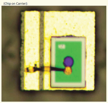 InGaAs Avalanche Photodiode  2.5 Gbps 光电二极管