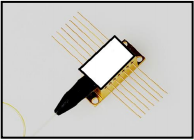 激光二极管 faxd-785-0.5w-fc100-vbg 半导体激光器