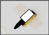 激光二极管 faxd-808-1.5w-fc100 半导体激光器