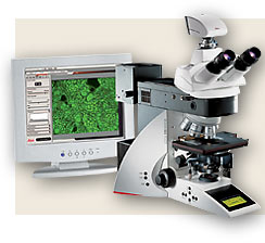 徕卡DM4000 M 普通显微镜