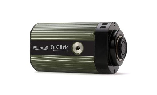QImaging QIClick 科学和工业相机