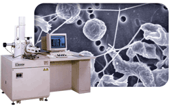 石英PCI图像测量软件 科学和工业相机