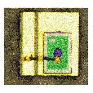 PDAF0055-CC 光电二极管